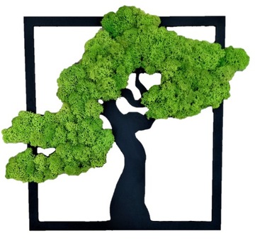 Drzewo Bonsai z mchem chrobotkiem Żywy Obraz 95 cm