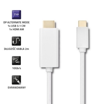 Kabel Qoltec 2m USB 3,1 USB C Męski HDMI A 4K Mesk