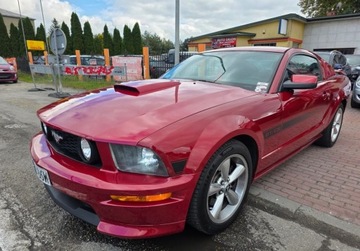 Ford Mustang V 2008 Ford Mustang 4.6Benzynapiekny i wyposazonyZarejestrowany w Polsce 4.6, zdjęcie 3