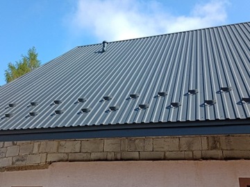 СНЕЖНЫЕ РАЗРЫВЫ СНЕЖНЫЕ ПРОМЕЖУТКИ ДЛЯ ЦВЕТОВ ТРАПЕЦЕИДАЛЬНЫХ ЛИСТОВ