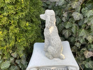 Figura betonowa ogrodowa pies pudel