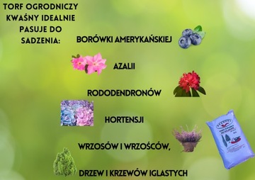 Торф 80л кислолюбивый ЧЕРНИКА АЗАЛИЯ РОДОДЕНДРОНЫ ГИДРЕНСЫ СТАНПОЛ