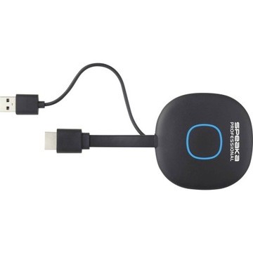 Беспроводная система SpeaKa Professional SP-937095