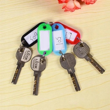 Брелки, бейдж, брелок, брелок, разноцветный, 100 шт.