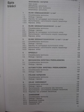 Ремонт RENAULT CLIO II Renault CLIO 2002- Строительный ремонт Renault Clio II