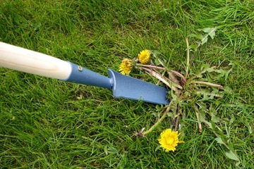 Экстрактор WRWICHWAST для сорняков, корней одуванчиков с ручкой PODCINACZ METAL