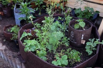 Тканевый горшок Root Pouch 22л с ручками