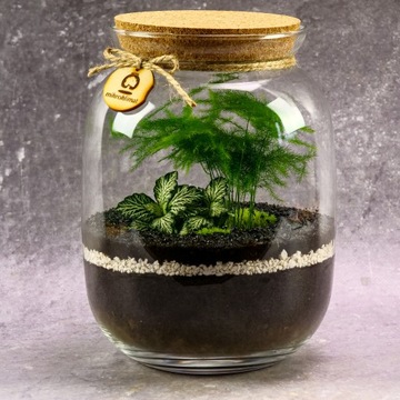 Микроклимат Лес в банке, высота 23 см, СПАРЖА.