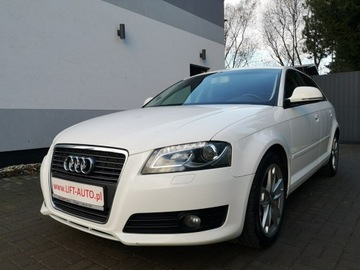Audi A3 8P Hatchback 3d 2.0 TDI CR 140KM 2009 Audi A3 2.0 TDI 140KM # Klimatr # Ledy # Bi-XENON