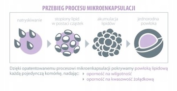 Aliness ProbioBalance FORTE Пробиотик ИММУНИТЕТ