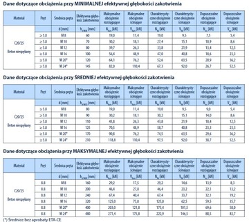 Комплект химических анкеров BCR 300 + штифты 8х110 + сетка 12х80 + миксер