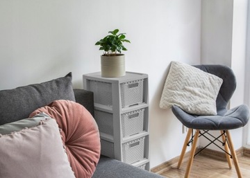 КНИЖНЫЙ ШКАФ, СУНДУК, ПОЛКА ШКАФА С 5 КОРЗИНАМИ, РОТАНД БРАНК