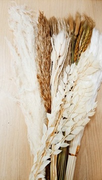 BUKIET Z SUSZONEJ TRAWY PAMPASOWEJ BOHO 43cm