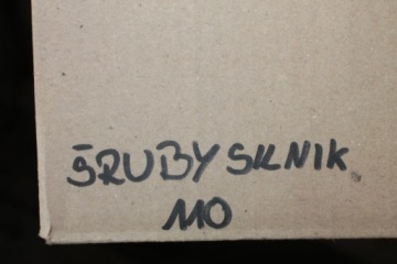 BMW R 1100 R РАЗБОРКА ДВИГАТЕЛЬ БОЛТ