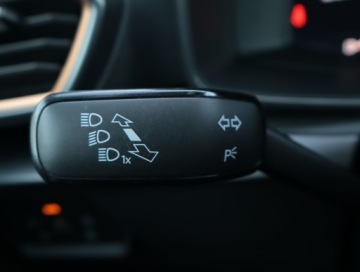 Cupra 2022 Cupra Formentor 1.5 TSI, Salon Polska, Serwis ASO, zdjęcie 17