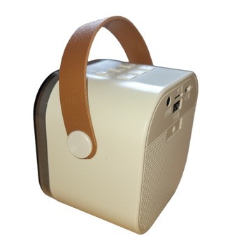 Караоке-набор 2 микрофона + беспроводной динамик