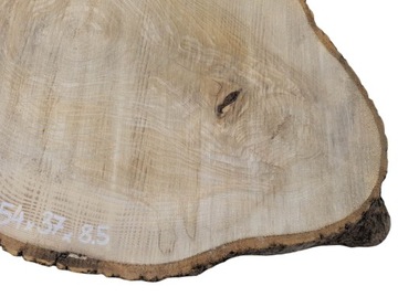 Срез ясеня 54х37см, разные размеры, дерево