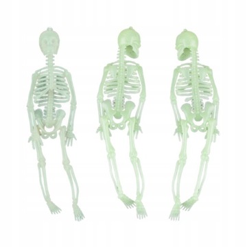 3 szt. Halloweenowy świecący w ciemności szkielet