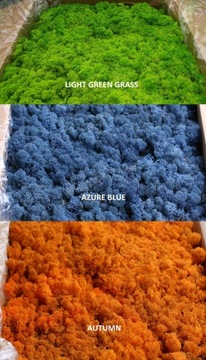 Мох оленьего краба 15 цветов 200г