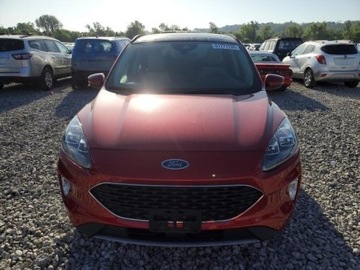 Ford Escape III 2020 Ford Escape Titanium 2.0 Benzyna 250KM, zdjęcie 1