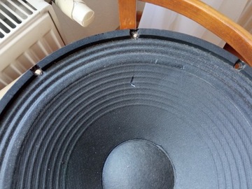 Два динамика диаметром 30 см.