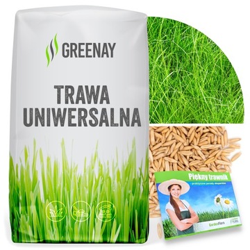 Trawa UNIWERSALNA nasiona trawy SAMOZAGĘSZCZAJĄCA odporna na DEPTANIE 5kg