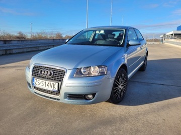 Audi A3 8P Hatchback 3d 1.6 102KM 2007 Audi A3 3-drzwiowe 1.6 MPi nowe opony Serwis Bezwypadkowy 1.6 Benzyna 102KM