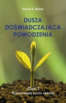 DUSZA DOŚWIADCZAJĄCA POWODZENIA CZ.1 POKONYWANIE..