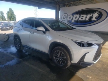 Lexus NX II 2024 Lexus NX 350H Base 2024 2.5l 2.5 Hybryda 240KM, zdjęcie 4