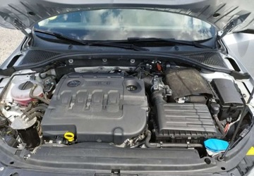 Skoda Octavia III 2017 Skoda Octavia Skoda Octavia 1.6 TDI Edition 1.6 Diesel 110KM, zdjęcie 16