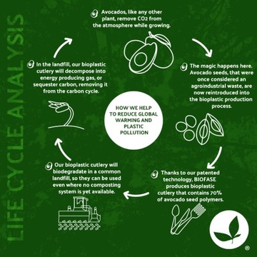 Одноразовые ложки из семян авокадо, 16,3 см, 200 шт.