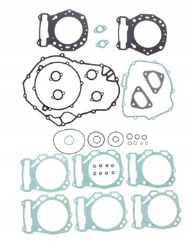 KOMPLET USZCZELEK CAN-AM RENEGADE 800 R