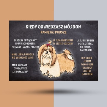 Tabliczka na ścianę shih tzu n dom odwiedziny