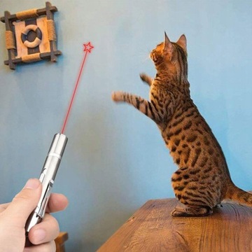 USB-КРАСНАЯ ЛАЗЕРНАЯ УКАЗКА ИГРУШКА ДЛЯ КОШКИ