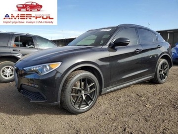 Alfa Romeo Stelvio SUV 2.0 Turbo 280KM 2019 Alfa Romeo Stelvio 2019r., TI, od ubezpieczalni 2.0 Benzyna 280KM