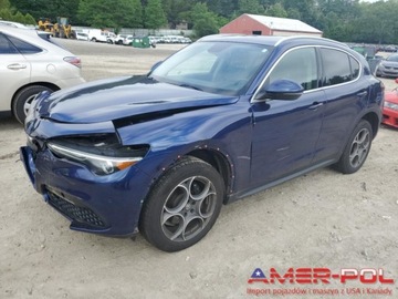 Alfa Romeo Stelvio SUV 2.0 Turbo 280KM 2019 Alfa Romeo Stelvio _4x4_2.0 L_280 km_2019r 2.0 Benzyna 280KM, zdjęcie 1