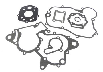 USZCZELKI SILNIKA DO DERBI SENDA 2006