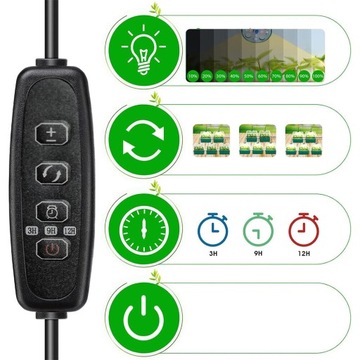 5X МИНИ-ТЕПЛИЦА С СВЕТОМ, ЛОТОК ДЛЯ РАЗМНОЖЕНИЯ ТЕПЛИЧНИКОВ