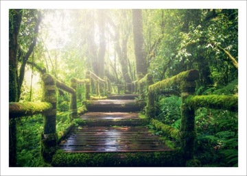 Плакат для домашнего декора Воздушный шар 70х50 К43