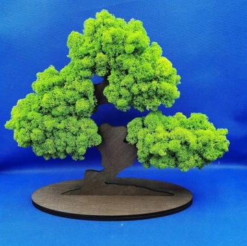 Дерево бонсай с 3D мхом, красивый мох со всех сторон