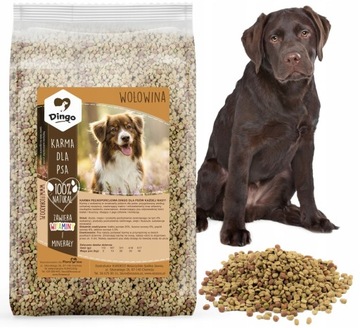SUCHA KARMA DLA PSA DINGO Z WOŁOWINĄ 10KG