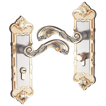 Entrance door handle Front door panel