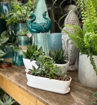 КЕРАМИЧЕСКИЙ ЦВЕТОЧНЫЙ ГОРШОК ЖЕЛОБ НА ПОДСТАВКЕ 28x9x9см БЕЛЫЙ