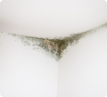 > Автоматическая вентиляционная решетка V2 - ЭнергоКратка Fi 100 - Белый