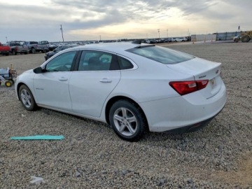 Chevrolet Malibu VII 2024 Chevrolet Malibu LS 2024 1.5 Benzyna 163KM, zdjęcie 1