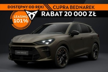 Cupra Terramar SUV 2.0 TSI 265KM 2026 Cupra Terramar VZ 2.0 TSI 265 KM DSG 4Drive