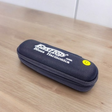 Диатоническая блюзовая гармоника 10-канальная до мажор East Top T008K черная