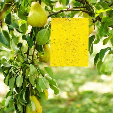Желтые липкие доски для наземных лягушек, насекомых, липкие доски