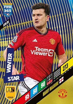 БЛИСТЕРНЫЕ ПОДПИСИ FIFA 2024 ОБНОВЛЕНИЯ + 50 КАРТочек WINTER STARS ФУТБОЛЬНЫЕ КАРТОЧКИ