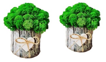 DEKORACJA MECH CHROBOTEK KUBEŁEK OZDOBA DO DOMU